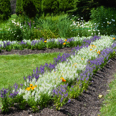 Conrad Formal Gardens