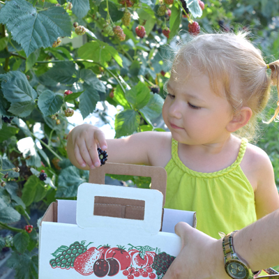 Little Girl at Indian Springs Berry Farm