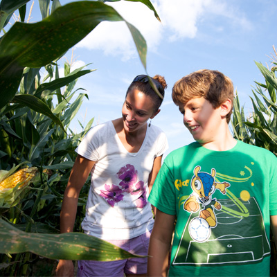 Niederman Farm Photo