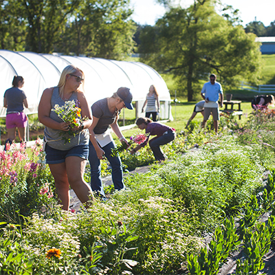 Farm to Vase Class Morning Sun Flower Farm