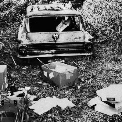 Blue Stagionwagon, Freedom Summer
