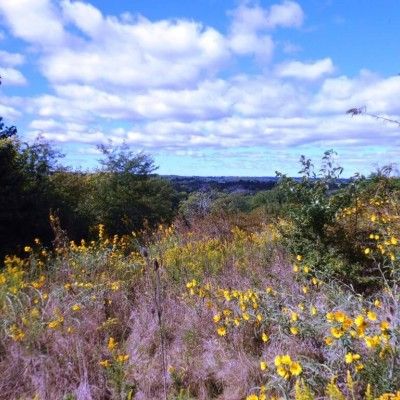 Forest Run MetroPark, Hamilton Ohio