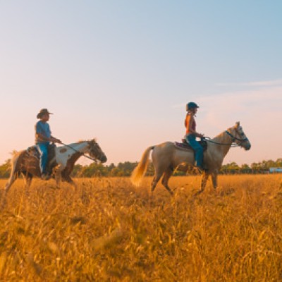 Nation Road Horse Rental, Oxford Ohio