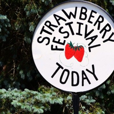 Shandon Strawberry Festival