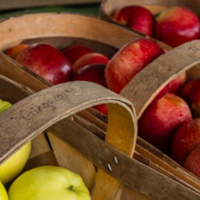 Barn-N-Bunk Fresh Apples