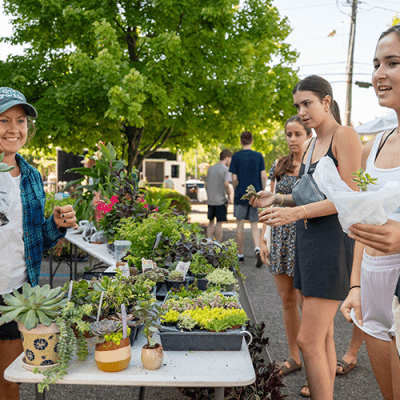 Farmers Market