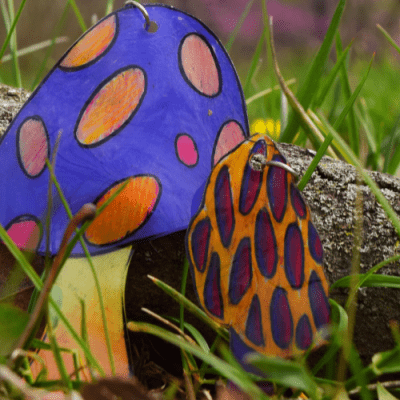 Mushroom Art