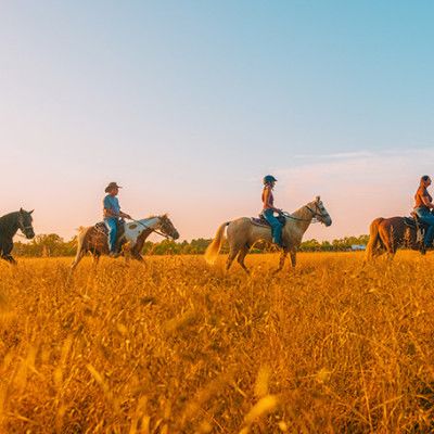 Nation Road Horse Rental