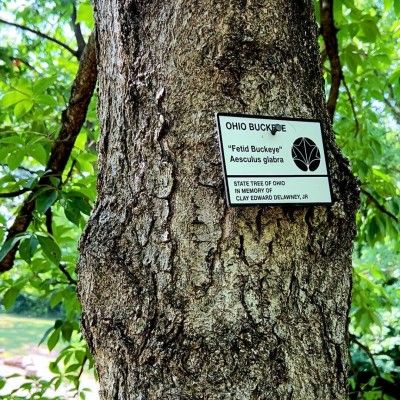 Arboretum in Middletown, Ohio