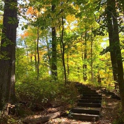 Bull's Run Hiking Trails