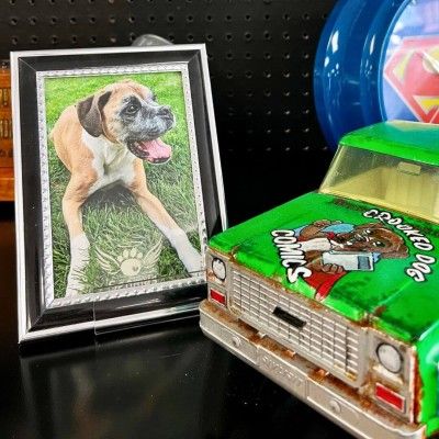 Crooked Dog Comics, Middletown Ohio