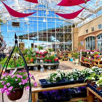 Delhi Flower & Garden Center