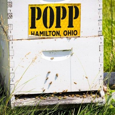 Don Popp's Honey Farm Beehives
