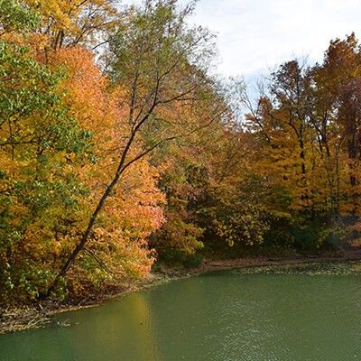 Dudley Park