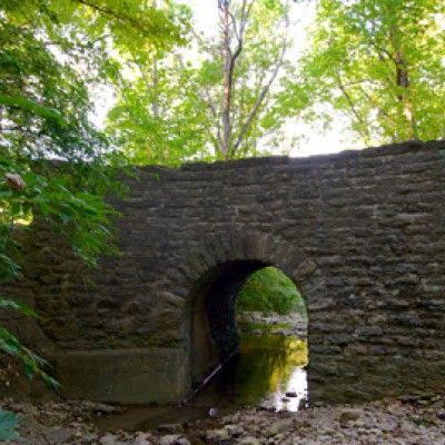 Content image Rentschler's Forrest