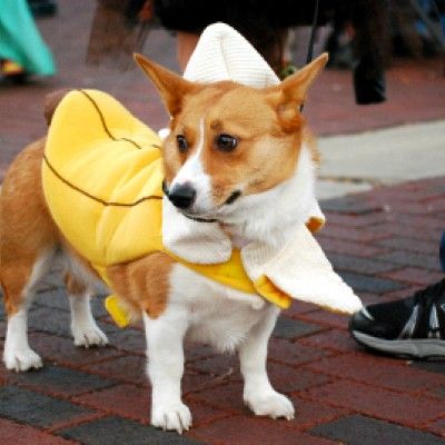 Uptown Trick or Treat