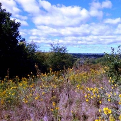 Forest Run MetroPark, Hamilton Ohio