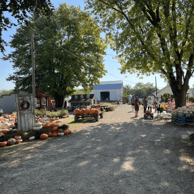 Brown's Family Farm Market