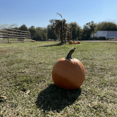 Brown's Family Farm Market