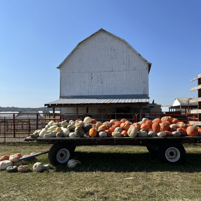 Brown's Family Farm Market