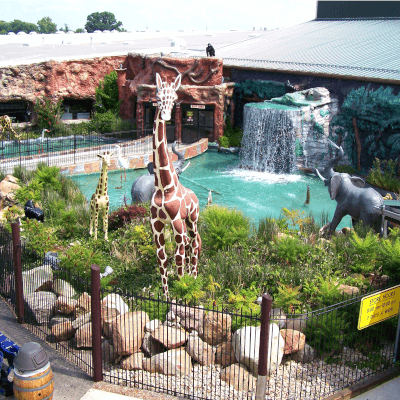 Jungle Jim's Exterior
