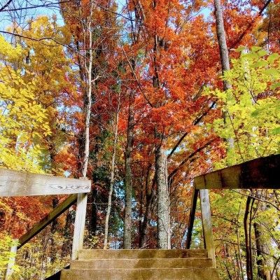 Hiking in Keehner Park, West Chester Ohio