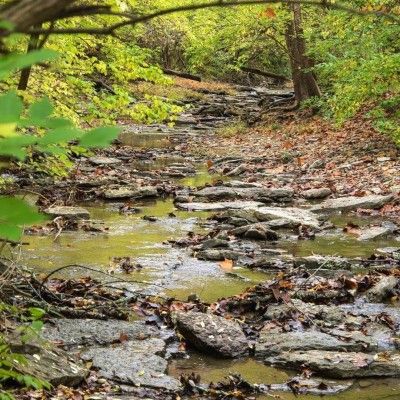 Spring Hiking, Keehner Park Ohio