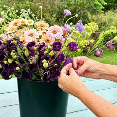 Knebel's Flower Farm, Ross Ohio