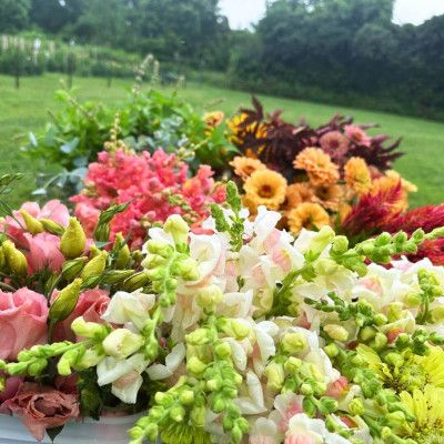 Knebel's Flower Farm, Ross Ohio