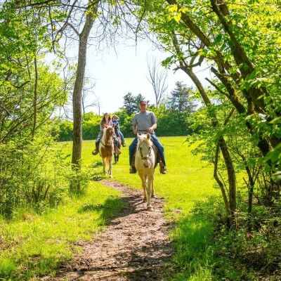 Nation Road Horse Rental