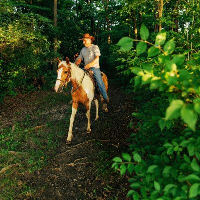 Nation Road Horse Rental, Oxford Ohio