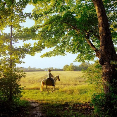 Nation Road Horse Rental, Oxford Ohio