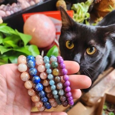 Salem the Cat, Seraph By The River