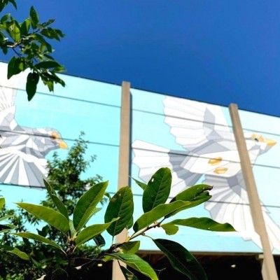 StreetSpark Murals, Taking Flight