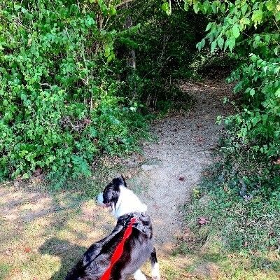 Harbin Park Trails 