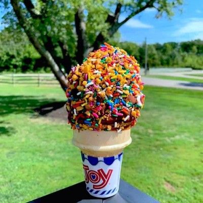 Twist Ice Cream Co, Liberty Township Ohio
