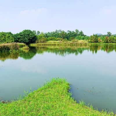 Wetlands Park, Liberty Township Ohio