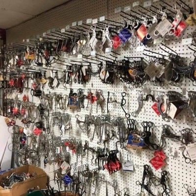 Horse Equipment