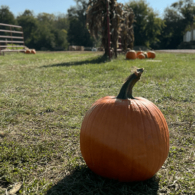 Brown Family Farm