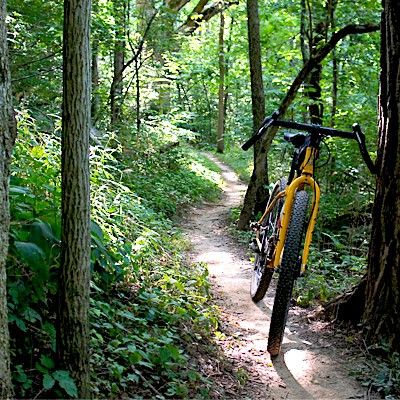 Harbin Park MTB Trails