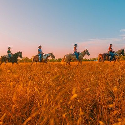 Nation Road Horseback Riding, Oxford Ohio