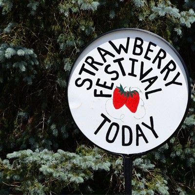 Shandon Strawberry Festival