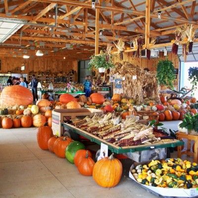 Image file Butterfield-Farm-Market-Pumpkins2-1f96c0935056a36_1f96c24d-5056-a36a-0976e0279742aafc.jpg