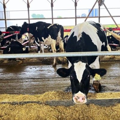 Content image Image file Mullen-Dairy-Creamery5_F96FAE89-C153-429D-1276BEE6145CA02E-f96fad4abc33ca0_f96fc3b1-efa2-922b-bee951b47fda426c.jpg