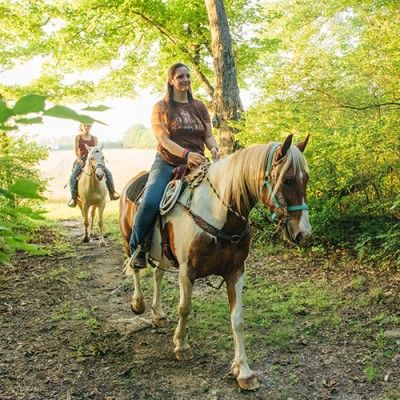 Content image Nation Road Horse Rental, Oxford Ohio