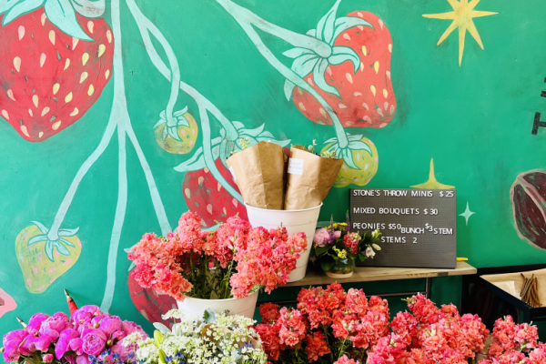 Image file Farmer-s-Collective_9F172D2F-FD51-8028-C6995A767030FED8-9f16f4050ba4c8c_9f17330f-0251-9609-67a456b36e8b4f8c.png