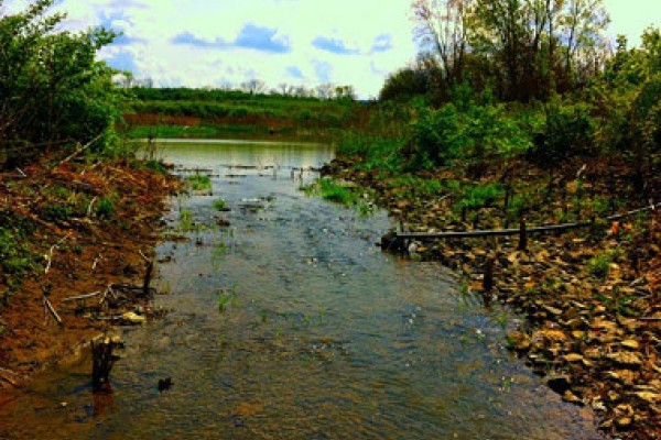 Image file MIll-Creek-Water_fab37135-5056-a36a-09937fdcb6bedd83.jpg