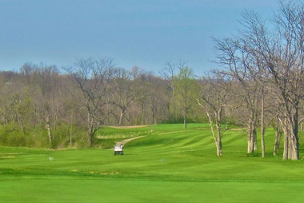 Image file Twin-Run-Fairway_fac94629-5056-a36a-09c80938dd29facd.jpg