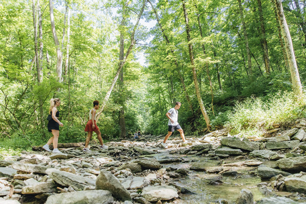 Image file rentschlerforestmetropark_A86361E3-A76F-5743-79C79B28F6B3C15B-a8636073adcb1be_a8636868-cff9-4acb-b276ea9723f1cac8.jpg
