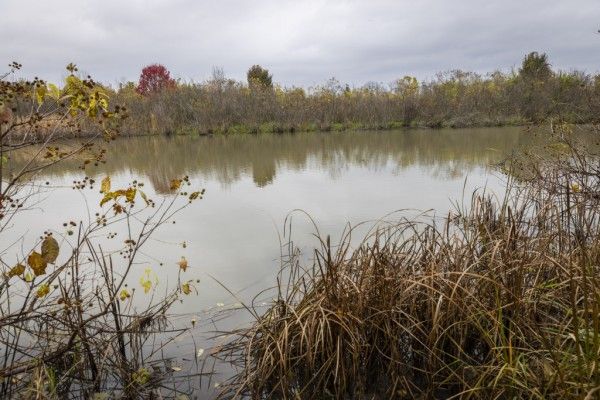 Image file BA4A0043_B6843BA2-E66D-199F-C5F5831B858BB325-b6842f99e0dd09f_b684bf43-0fdd-61f8-02639c707fb7959c.jpg